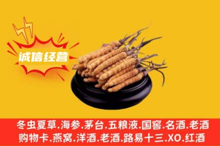 池州回收冬虫夏草